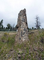 Yellowstone Tower Roosevelt (38).JPG